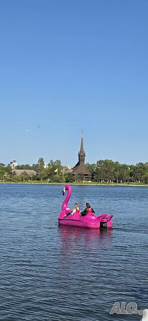 image_12