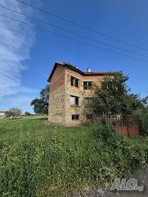 image_8