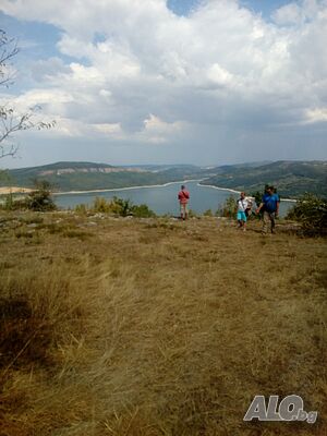 image_6
