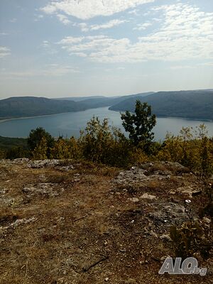 image_7