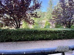 image_11