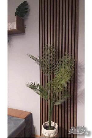 image_2