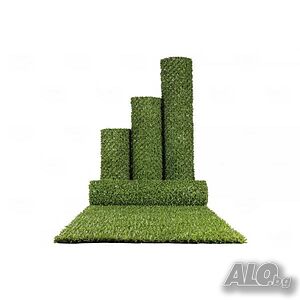 image_2