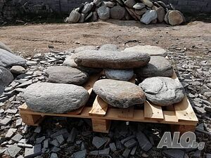 image_6