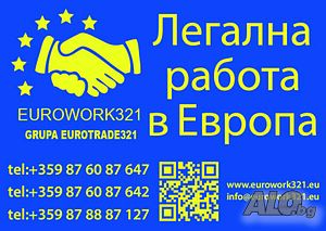 Легална работа в Европа