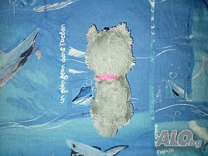 image_2