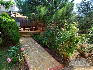 image_10