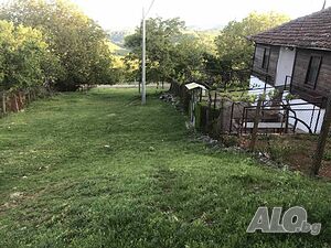 image_6