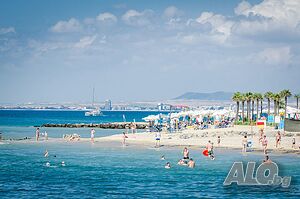 image_9