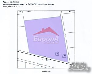 image_6