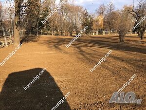 image_9