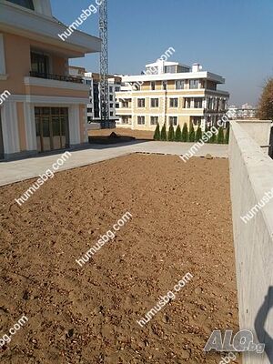 image_11