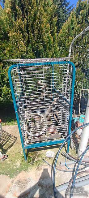 Продавам клетка за папагали