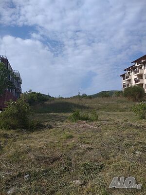 image_7