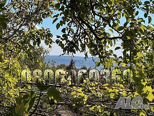 image_11