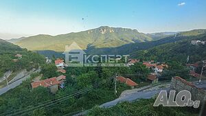 image_11