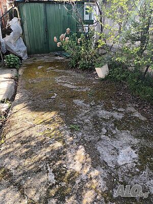 image_7