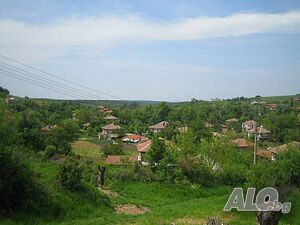 image_15