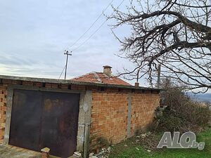 image_7
