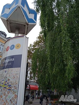 image_13