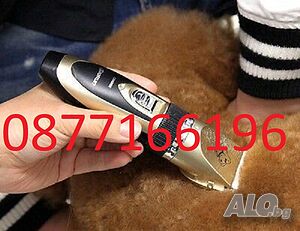 image_3