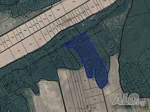 Продавам гора 93018 м2, обл. Видин