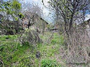 image_12