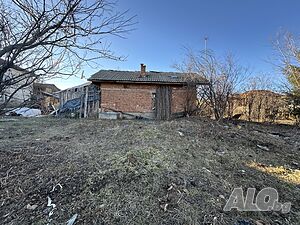 image_9