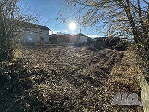 image_11