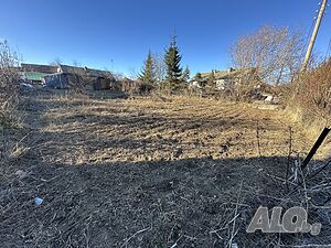 image_7