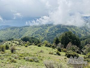image_15