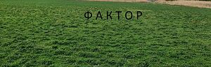 Парцел в Остромила