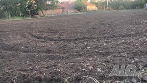 image_9