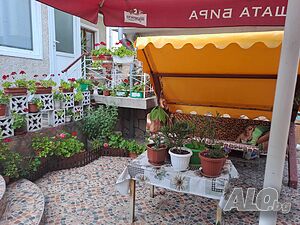 image_11