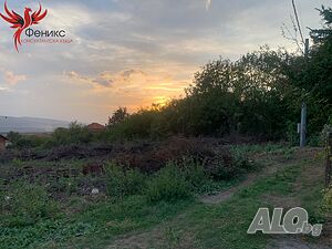 image_6