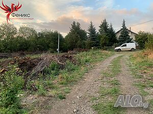 image_7