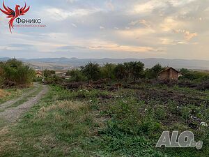 image_8
