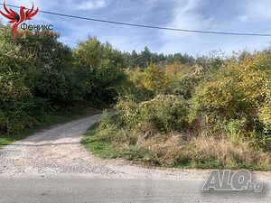 image_5