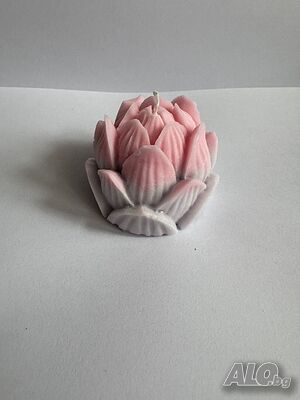 image_8