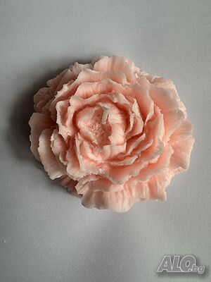 image_9