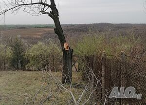 Продажба парцел, с. Николово, обл. Русе, Танкодрума