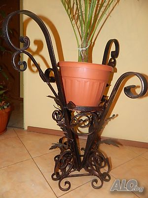 image_5