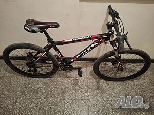 image_12
