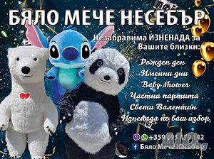 Бяло мече изненада Несебър