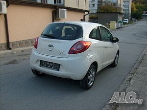image_6