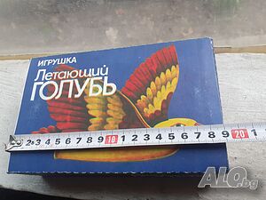 image_7