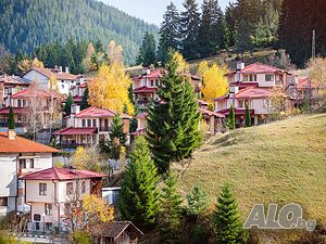 image_15