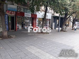 image_11