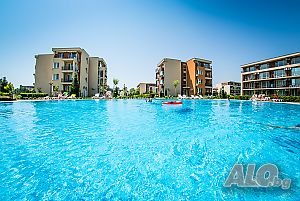 image_11