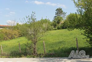 image_2